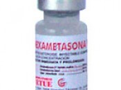 Dexametasona VT 